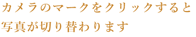 写真が切り替わります