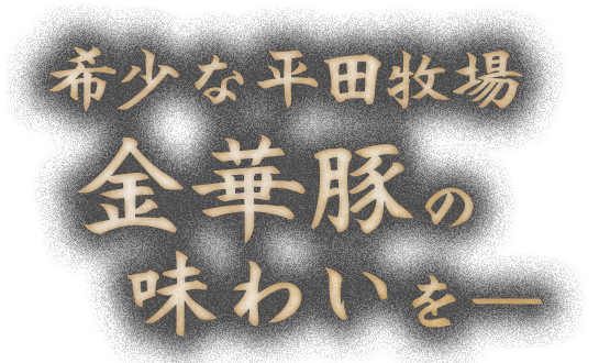 希少な平田牧場金華豚の味わいを―