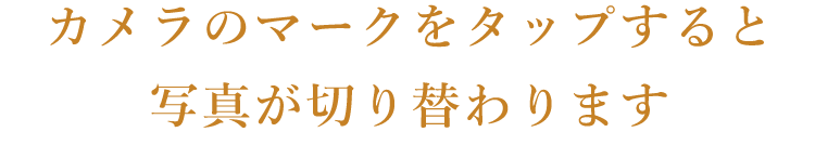 写真が切り替わります